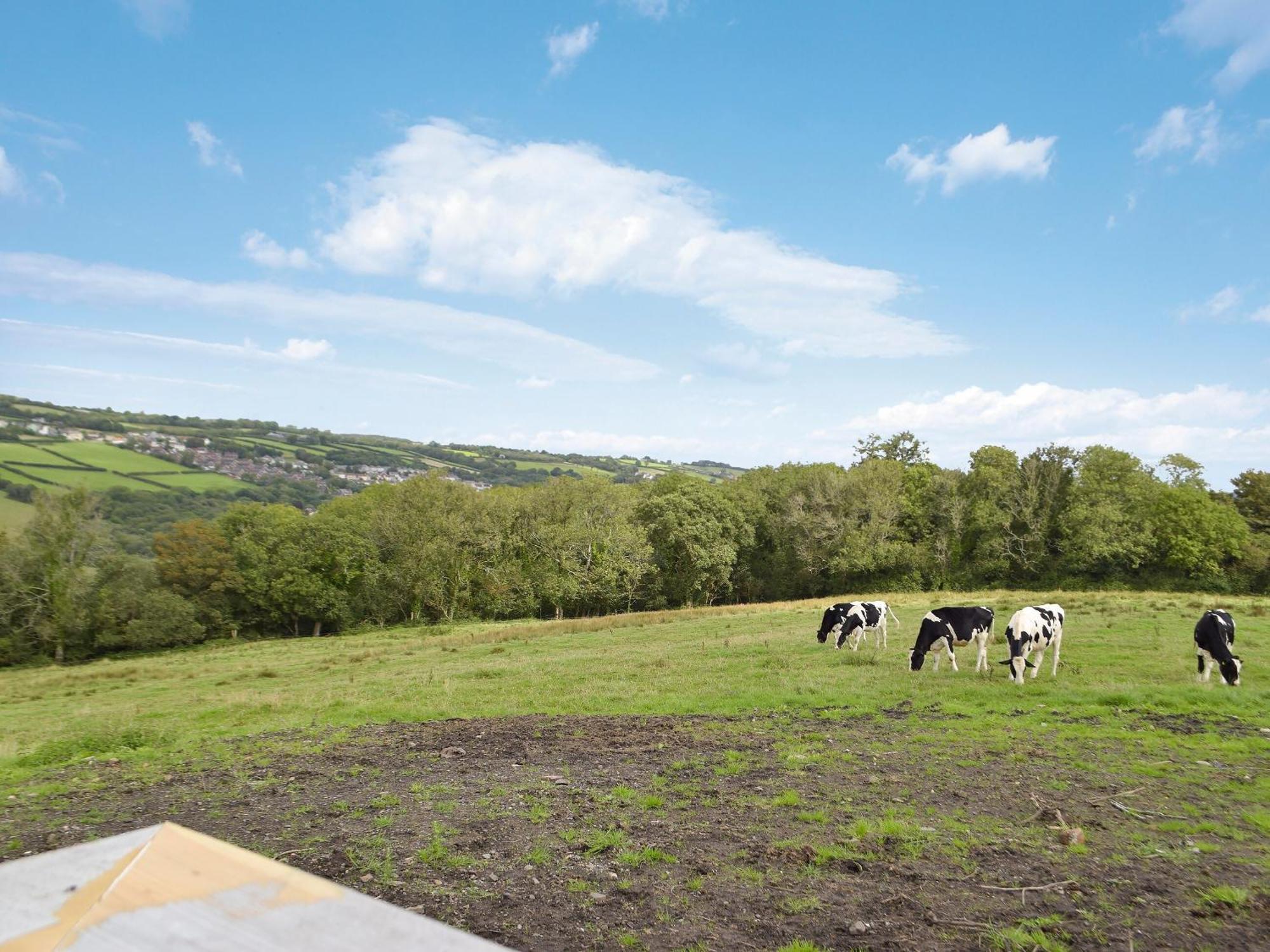 Y Beudy Bach Villa Pont-y-Berem Luaran gambar